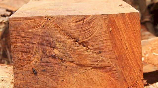 cách nhận biết gỗ lim